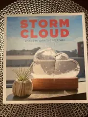 STORM CLOUD . Changes With The Weather . FUN CLOUD-SHAPED BAROMETER
