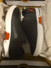 Jordan TE 2 LOW Gs 6.5