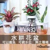 在飛比找蝦皮購物優惠-【台灣現貨】水培花盆 花盆 水耕盆栽 水耕花器 水耕瓶 水培