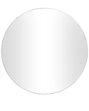 Peyton Lane Contemporary Wall Mirror