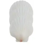 14 Pcs 4-5 inch Scallop Shells,Sea Shell for Crafts Decoration Crafting，Beach...