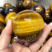 60mm Natural Yellow Tiger's Eye Quartz Crystal Gemstone Sphere Ball Crafts+Stand