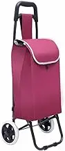 CVBFDB Portable Shopping Cart Trolley on Wheels Folding Shopper Bag Basket Foldable Groceries Eco Pouch Accessories Supplies(White-Mountain peach7)