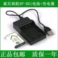 在飛比找露天拍賣優惠-現貨適用于 索尼攝像機電池+充電器FDR-X1000 X10