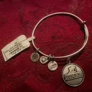 NWT Authentic Alex and Ani Providence College Silver Charm Bangle b