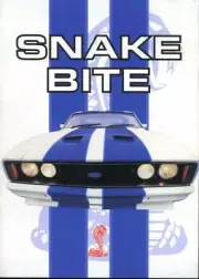BIANTE BROCHURE - 1978 Ford XC Falcon COBRA Hardtop GENUINE Suit 1:18