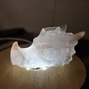 Fire Quartz Dragon Skull