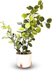 Hammered Gold Rim Leaf Leg Planter by Indian Impressions | White Elegant Metal Planter with Stylish Leaf-Inspired Legs | Modern Indoor Plant Stand for Home, Office & Balcony | Decorative Accent Piece