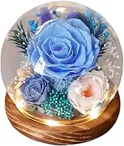 Preserved Flowers Rose in Glass Dome with LED Light – Forever Real Roses Flowers Anniversary, for Women, Da Valentine's Gift