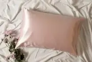 2-Sided 100% Mulberry Silk Standard Pillow Case Slip Protector Genuine 22Momme