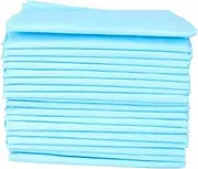 Kisangel 2sets Pet Pee Mat Doggie Diapers Puppy Training Pads Dog Pee Pad Potty Pads Dog Pads Puppy Pads Pet Training Pads Pet Changing Mat Pet Training Mat Non-Woven Fabric Sky-Blue 50pcs*2