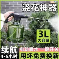 在飛比找蝦皮商城精選優惠-電動噴水壺家用澆花神器自動噴水壺電動小型噴霧器充電噴壺灑水壺