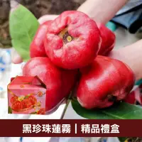 在飛比找台灣好農優惠-【林邊豪美】黑珍珠蓮霧精品禮盒(2kg/盒)