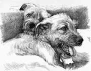 Irish Wolfhound Puppies, a Limited-Edition Lithograph print