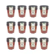 72pc Antheia Green Homewares Soft Plastic Seedling Planter Pot 13x11.4cm Brown