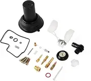 Artudatech Carburetor Carb Rebuild Kit With plunger & float fit for VLX400 Steed 400