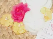 Felicity 5Pk - 3 Apricot 5cm Fuchsia & White 7cm Fabric Lace Organza Manor House