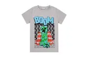 Minecraft Boys Boom T-Shirt (Grey) - UTNS6498