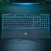 在飛比找巴哈商城優惠-Razer Ornata V3 X 雨林狼蛛 V3 X 薄膜