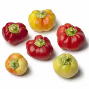 Capsicum - Alma Paprika seeds