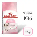 皇家貓飼料ROYAL CANIN K36幼母貓糧 4KG