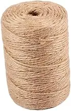OSALADI Craft Jute Rope String 2pcs Natural Jute Twine 3mm Thick 100m Long Handmade for DIY Wedding Decorations