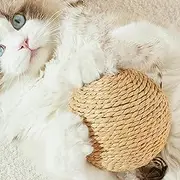 Cat Ball Toy | Portable Ball | Moving Dog Ball | Natural Rabbit Scratching Ball with Sound | Interactive Cat Scratcher Ball Toy, Large Pet Rolling Ball for Pet, Cat, Kitten, Rabbit