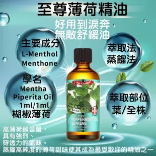 【Ausgarden 澳維花園】至尊薄荷精油100ml(薄荷精油能量 清涼舒心的療癒力)