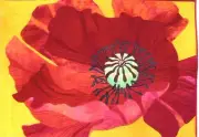 Poppy Applique Quilt Pattern by OCarol Designs