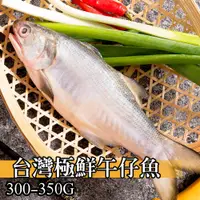 在飛比找蝦皮商城優惠-【鮮綠生活】台灣極鮮午仔魚300g-350g