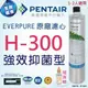 【EVERPURE】美國原廠 H300濾心/濾芯 美國濱特爾Pentair 強效抑菌 除鉛 抑垢 除VOC 強森淨水/另售 S104 H104 S100 H54 S54(平行輸入)