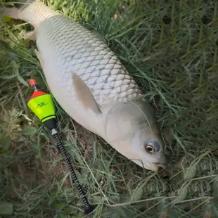 鼓式輪 釣竿 鋼筆釣竿 金屬捲線器 可甩竿 紡車輪 水滴輪 魚竿 釣蝦 溪釣 釣魚