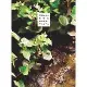 淺野一二O短篇集 怪物裂口女／香菇與竹筍（全）[93折] TAAZE讀冊生活