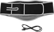 Heating Pad for Back Pain Relief, Vibration Massage Lower Back Brace, USB Powered 3 Gears Vibration Heated Waist Belt with Wormwood Bag, Adjustable Temperature, for Men Women