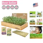 Traditional-style Self-Watering Microgreens Kit - Broccoli & Kale Seeds Included