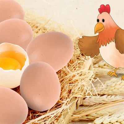 6Pcs Poultry Plastic Fake egg Hens hatch Children's toys Farm Animal DIY