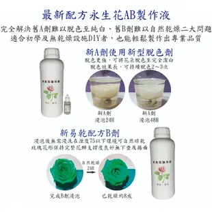 DIY 永生花製作液 新配方AB劑  可製作成純白色的永生花製作液 不凋花 保鮮花💕【現貨供應】💕