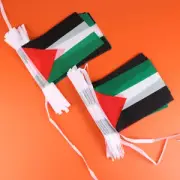 Palestine Pulling Flag Palestinian National Flag Palestinian Flag String