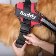 Personalised Dog Name Harness Labels