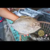 在飛比找蝦皮購物優惠-【澎湖直送🔥】澎湖黑/金/白鯧魚