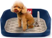 Dog Potty Toilet, Pet Indoor Outdoor Dog Training Toilet, Portable Potty Trainer