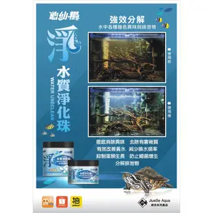 龜仙糧 水族爬蟲水質淨化珠 強效分解 除色 除臭 淨化水質 活性碳 過濾 水族 濾材 300ML 500ML