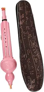 GOOHOCHY Soprano Recorder Flute for Beginners Durable Hulusi Instrument with Stylish Case for Students for Home and School Music Practice