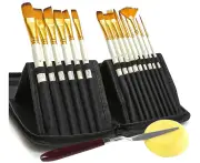 Artist Paint Brush Set of 15 Different Paint Brushes