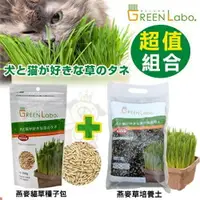 在飛比找樂天市場購物網優惠-日本GreenLabo 燕麥盆栽組DIY貓草盆/燕麥貓草種子