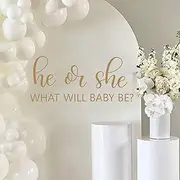 QIANGDAGSI He Or She What Will Baby Be Balloon Arch Decoration - Gender Reveal Girl Or Boy Baby Shower Decal Sign,Baby Gender Reveal Welcome Sign,Welcome Baby Shower Sign Decal (He Or She Decal)