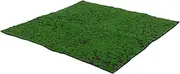 SEWOART Artificial Turf Carpet Fake Turf Moss Outdoor Decoration Artificial Moss Area Rugs Bonsai Lawn Plant Wall Lawn Dollhouse Lawn Indoor Lawn Artificial Decoration Moss Rug Silk Cotton