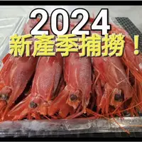 在飛比找蝦皮購物優惠-【大盤商🌟精選】胭脂蝦(大)🦐紅魔蝦//1kg14~16隻/