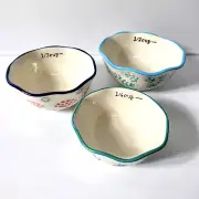 Gibson Home Nesting Stoneware Set of 3 Measuring Cups, Village Vines Design, New