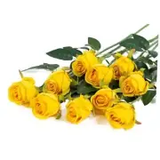 10pcs Artificial Silk Roses Fake Flowers Bouquet Long Stems for Wedding Yellow